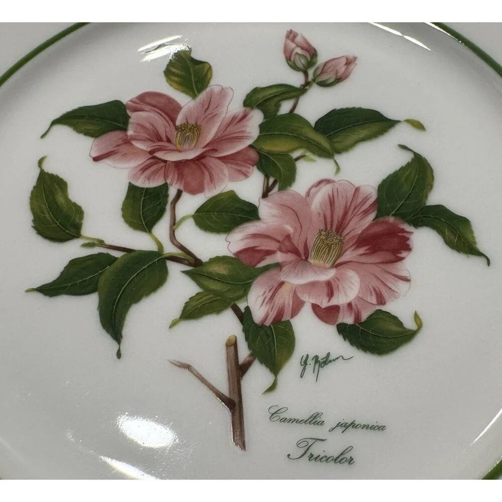 2 JWK Bavaria Western Germany Camellia Japonica Tricolor Plates Botanical Floral